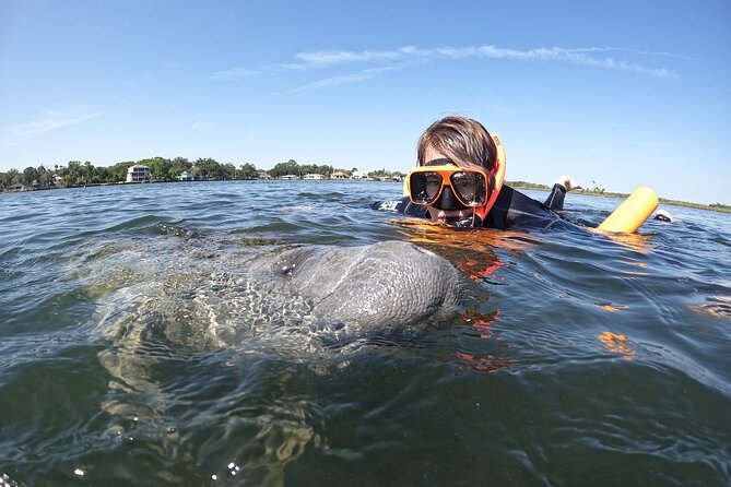 Guided Crystal River Manatee Snorkeling Tour - Preparing for the Tour