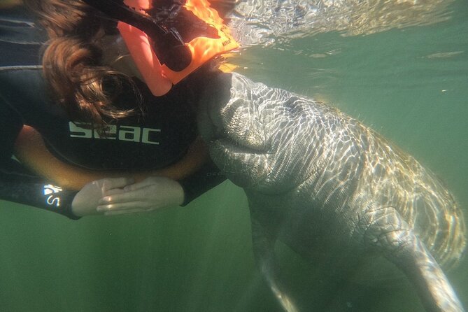 Guided Crystal River Manatee Snorkeling Tour - Exploring the Crystal River Manatees
