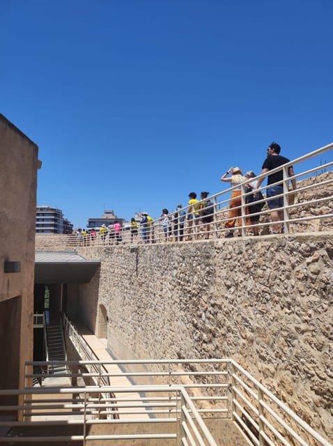 Guided Cultural Tour to 3 World Heritage by UNESCO in Elche - Highlights and Experiences
