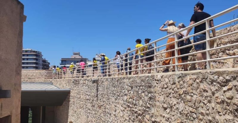 Guided Cultural Tour to 3 World Heritage by UNESCO in Elche - Detailed Itinerary