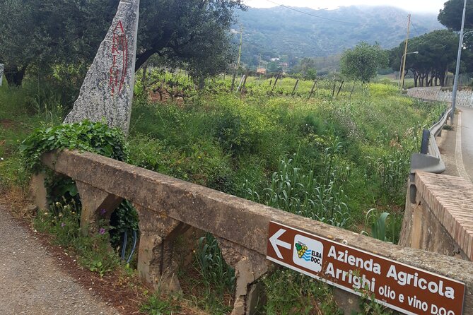 Guided Cycle Tourism Wine Tour by E-Bike on the Island of Elba Arrighi - Start and End Times