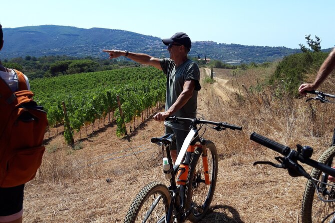 Guided Cycle Tourism Wine Tour by E-Bike on the Island of Elba Arrighi - Health and Fitness