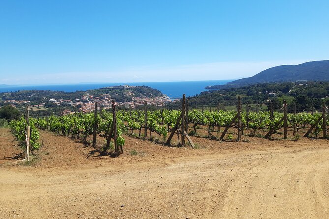 Guided Cycle Tourism Wine Tour by E-Bike on the Island of Elba Arrighi - Transportation Options