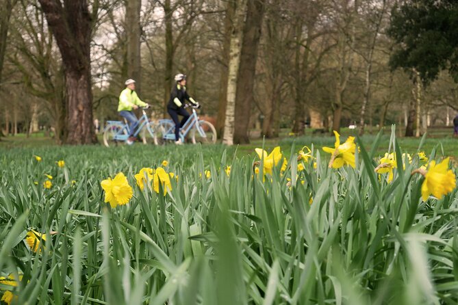 Guided Cycle Tours of Cardiff - Traveler Reviews