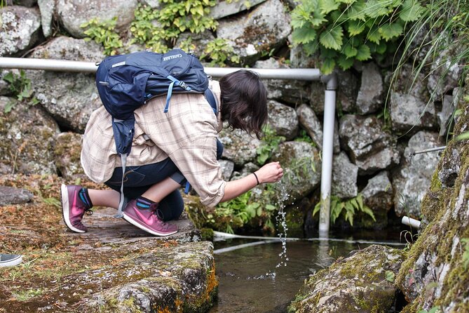 Guided Cycling Tour in Hagi With Sake Brewery Visit - Meeting and Pickup Details