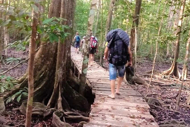 Guided Darien Jungle Experience - 5 Days / 4 Nights - Hiking in Primary Rainforest