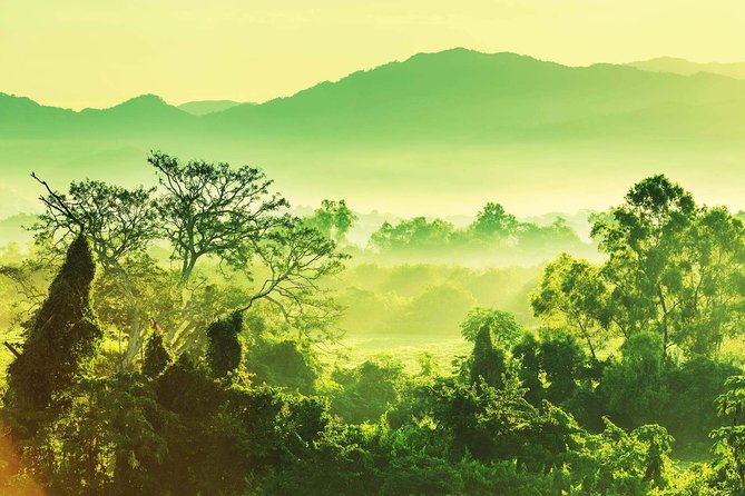 Guided Darien Jungle Experience - 6 Days / 5 Nights - Key Points