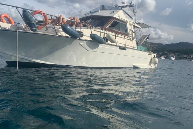 Guided Day by Boat From Palermo - Scenic Coastal Views