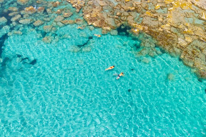 Guided Day by Boat in Carloforte With Snorkeling and Aperitif - Tour Operator and Activity Details