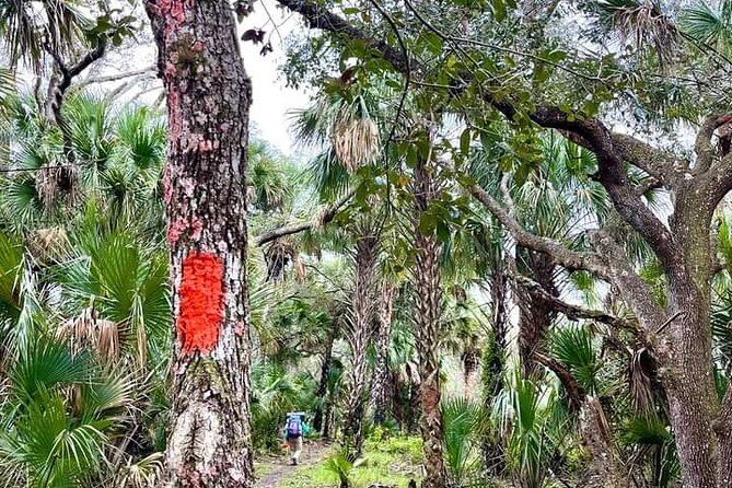 Guided Day Hike Through Floridas Wild Backcountry. - Key Points