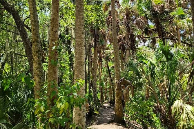 Guided Day Hike Through Floridas Wild Backcountry. - Meeting and End Points