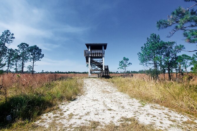 Guided Day Hike Through Floridas Wild Backcountry. - Participant Guidelines