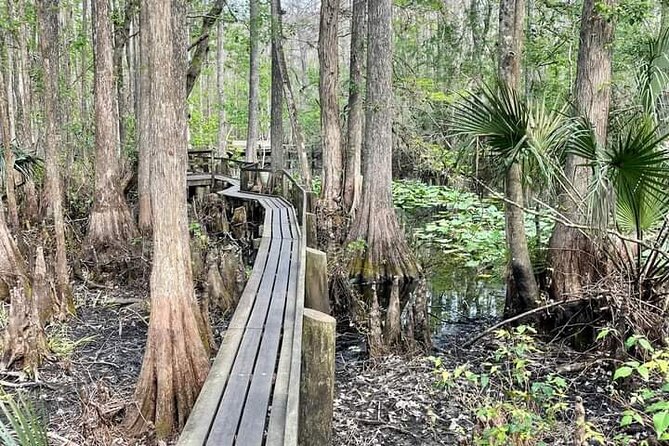 Guided Day Hike Through Floridas Wild Backcountry. - Booking Information