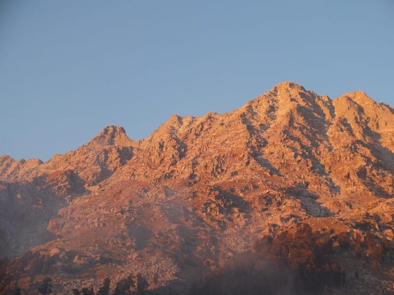 Guided Day Hike to Birni Devi Temple From Palampur - Experience Highlights