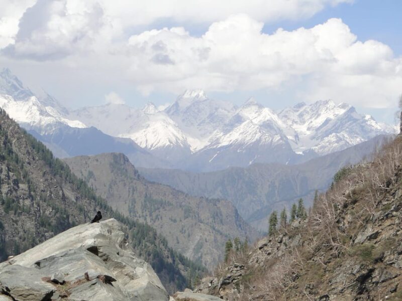 Guided Day Hike to Birni Devi Temple From Palampur - Scenic Vistas