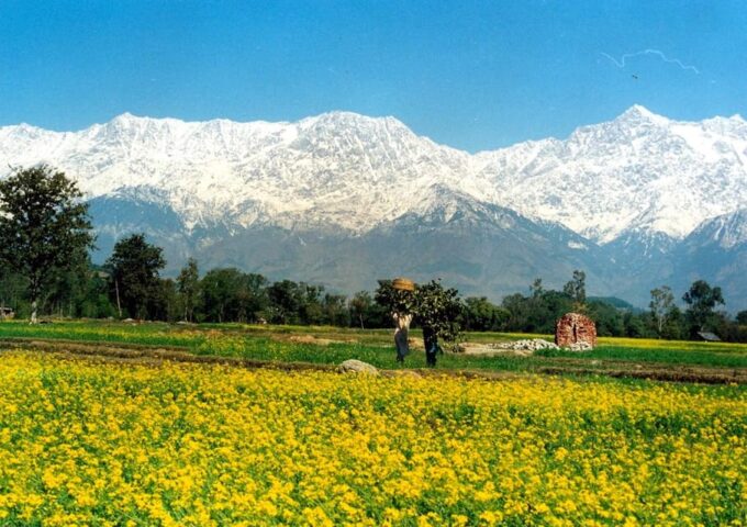 Guided Day Hike to Birni Devi Temple From Palampur - Village Life and Culture