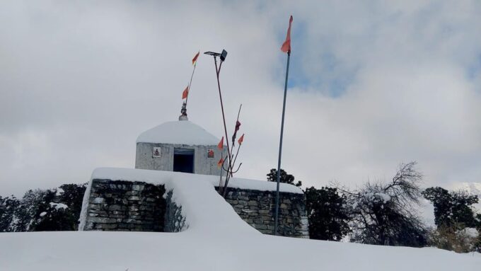 Guided Day Hike to Birni Devi Temple From Palampur - Flora and Fauna