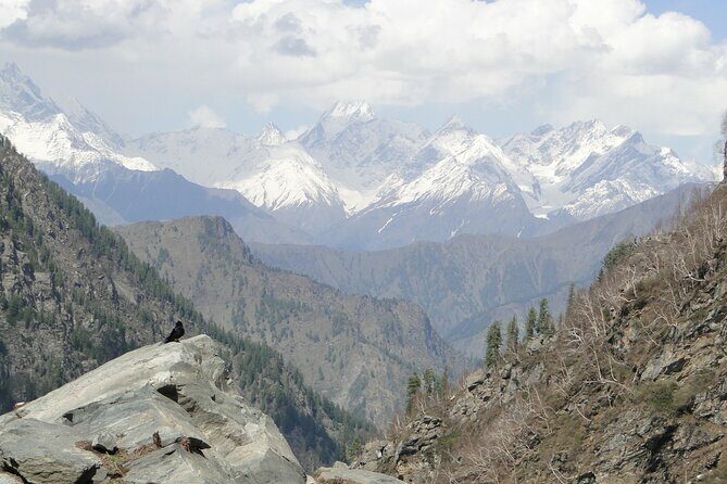 Guided Day Hike to Guna Devi Temple from Mcleodganj - What Makes This Trek Special?