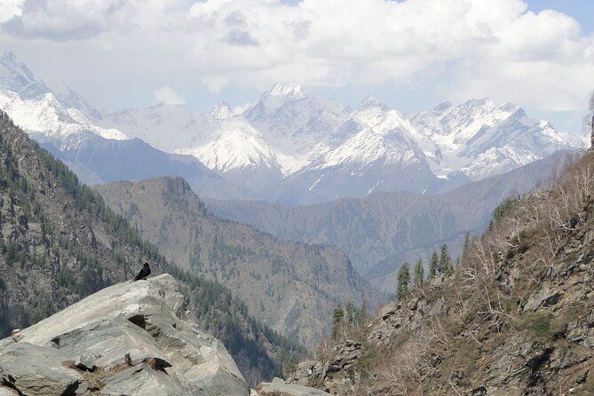 Guided Day Hike to Guna Devi Temple From Mcleodganj - Reviews and Ratings