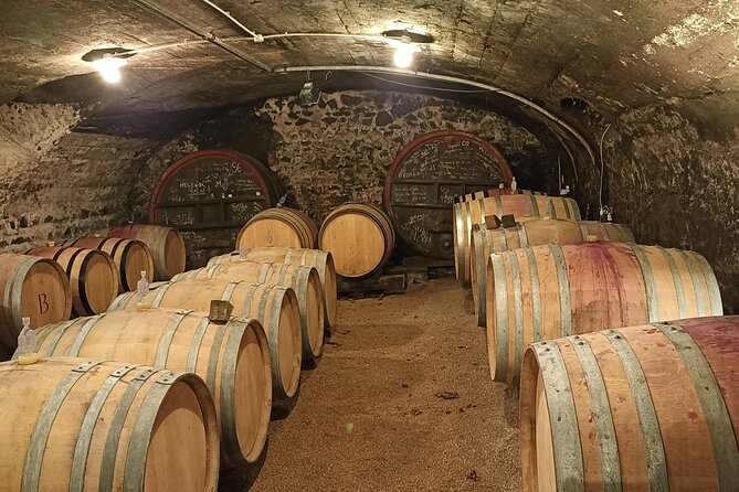 Guided Day of the Beaujolais Cellars With Tasting - Traveler Experiences and Recommendations