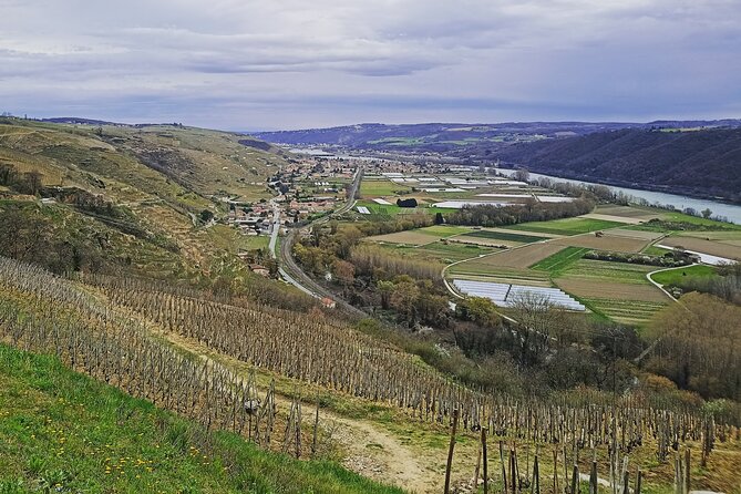 Guided Day Tour and Wine Tasting Northern Rhône Valley - Winemaking and Aging Processes