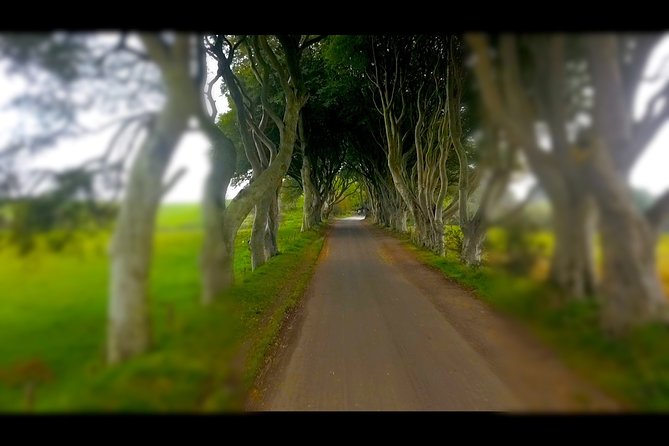 Guided Day Tour of Giants Causeway From Belfast by Comfortable Coach - Additional Information