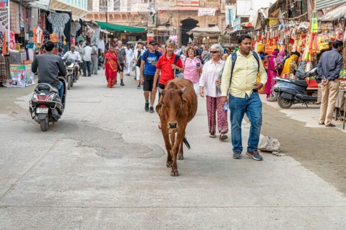 Guided Day Tour of Pushkar From Jaipur - Transportation and Pickup