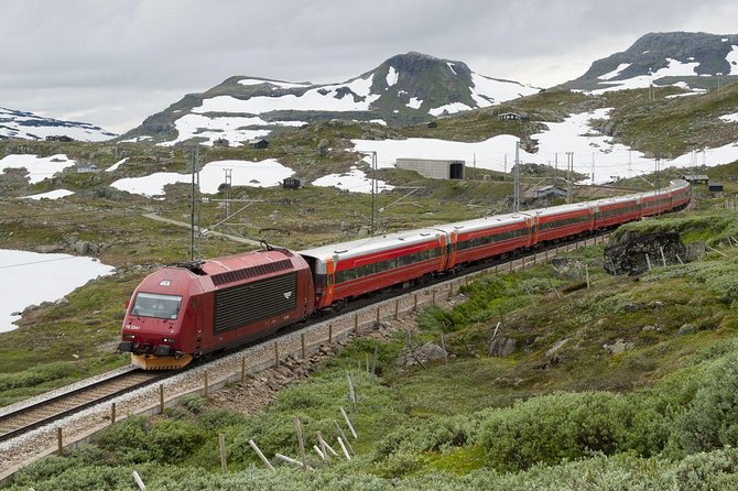 Guided Day Tour - Premium Nærøyfjord Cruise and Flåm Railway - Reviews and Feedback