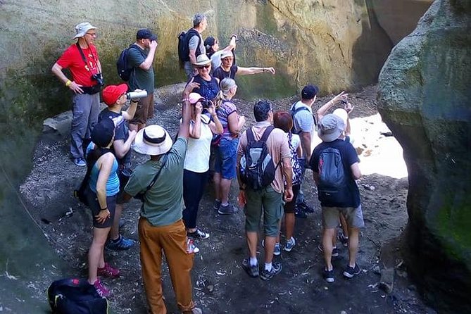 Guided Day Tour Safari of Parks Lake Naivasha and Hells Gate - Group Size and Tour Operator