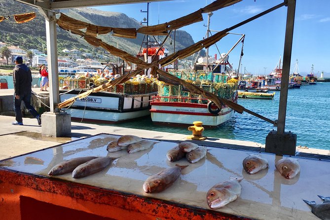 Guided Day Tour to Cape Point, Penguins and Wine Tasting - Confirmation and Group Size
