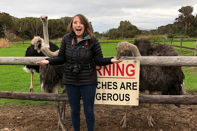Guided Day Tour to Cape Point, Penguins and Wine Tasting - Alternative Routes