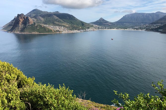 Guided Day Tour to Cape Point, Penguins and Wine Tasting - Participant Requirements