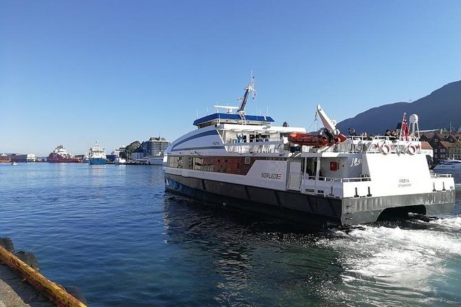 Guided Day Tour to Flåm - Grand Sognefjord Cruise & Flåm Railway - Accessibility and Participation