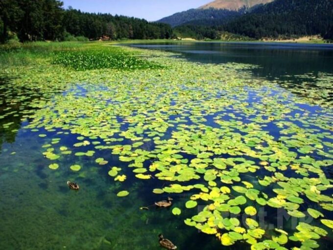 Guided Day Trip to Sapanca and Masukiye From Istanbul - Frequently Asked Questions