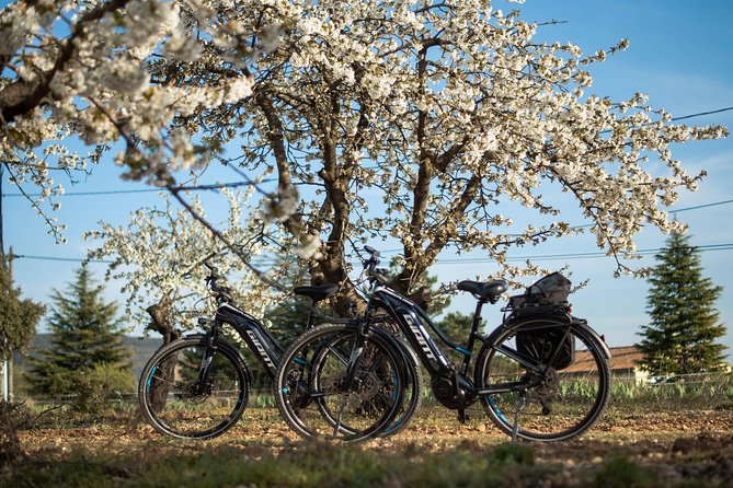 Guided Discovery of Ocher - 1/2 Day - Electric Bike - Reviews
