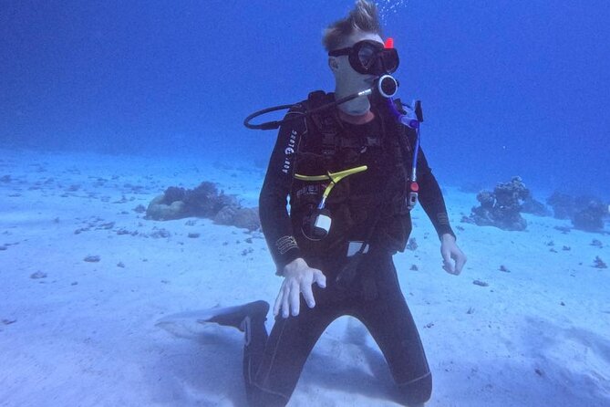 Guided Diving Experience for Padi OW in Red Sea and Sinai - Meeting Details