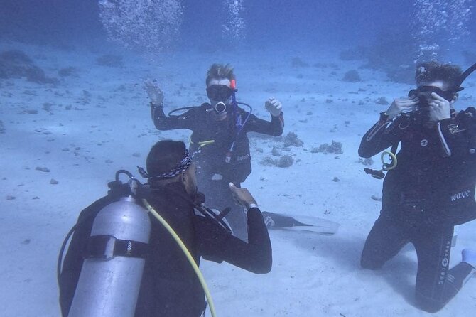 Guided Diving Experience for Padi OW in Red Sea and Sinai - Additional Fees