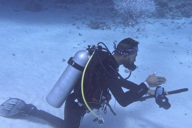 Guided Diving Experience for Padi OW in Red Sea and Sinai - Group Size and Accessibility