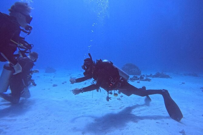 Guided Diving Experience for Padi OW in Red Sea and Sinai - Cancellation Policy