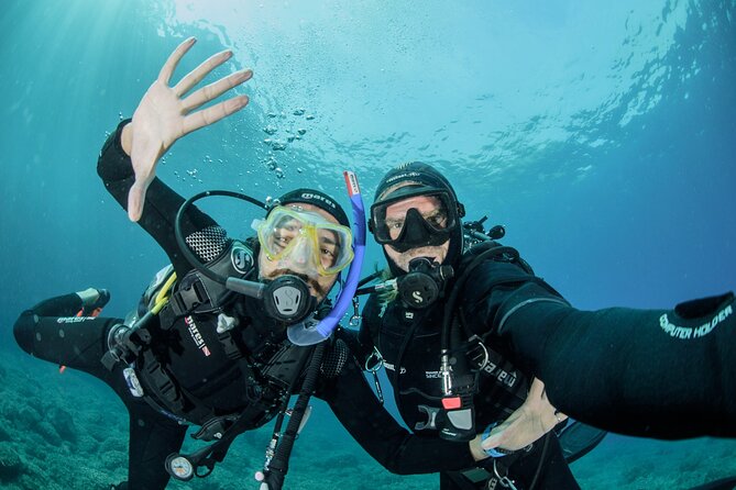Guided Diving for Beginners Without Certification From Sorrento - Good To Know
