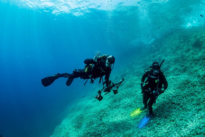 Guided Diving for Beginners Without Certification From Sorrento - Explore the Underwater World