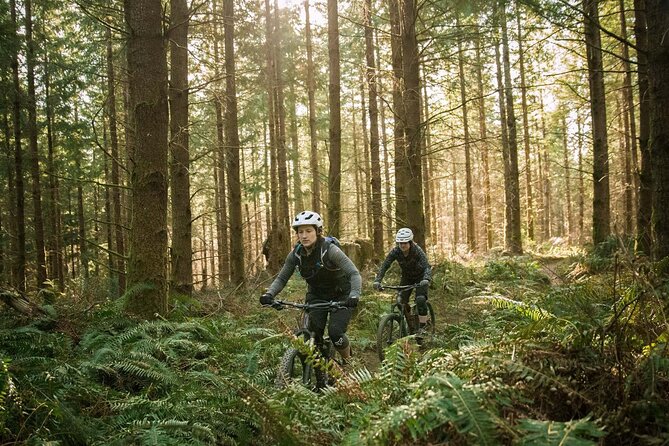 Guided E-Bike Day Trips Dorset - Visiting Poole, Bournemouth, and Christchurch