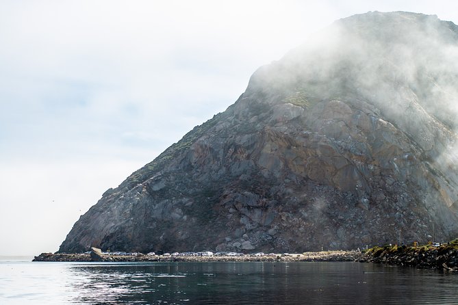 Guided E-Bike Tour of Morro Bay - Tour Reviews and Ratings