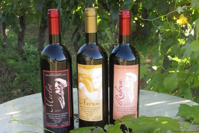 Guided E-Bike Tour With Wine Tasting From Lucca - Pricing and Cancellation Policy