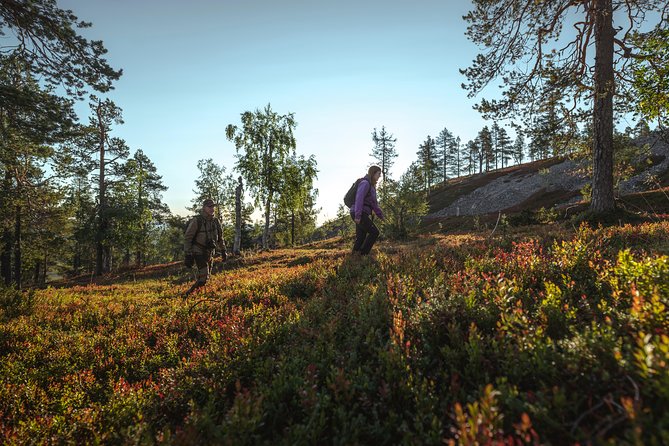 Guided Easy Hike in Finland Deepest Gorge in Pyhä-Luosto National Park - Guided Hike Inclusions