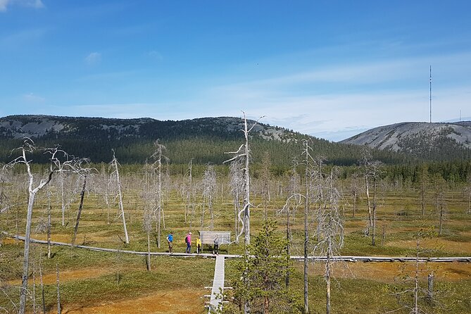 Guided Easy Hike in Finland Deepest Gorge in Pyhä-Luosto National Park - Exploring the Gorge