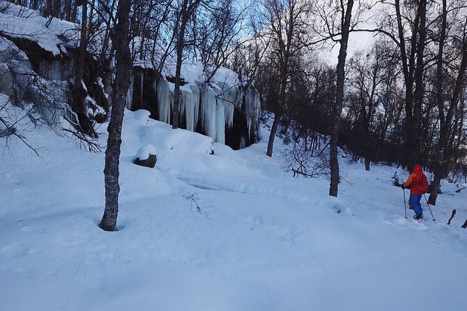 Guided Easy Snowshoeing With a Visit to Local Café - Tour Details
