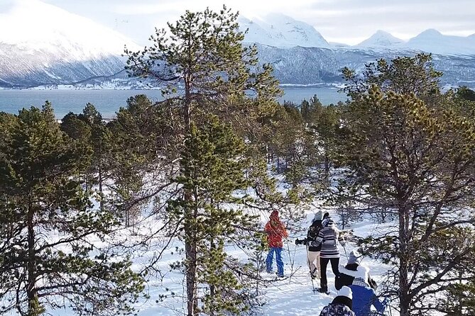 Guided Easy Snowshoeing With a Visit to Local Café - Traveler Reviews: Jaclyn_M