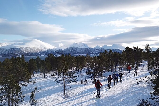 Guided Easy Snowshoeing With a Visit to Local Café - Getting to the Tour