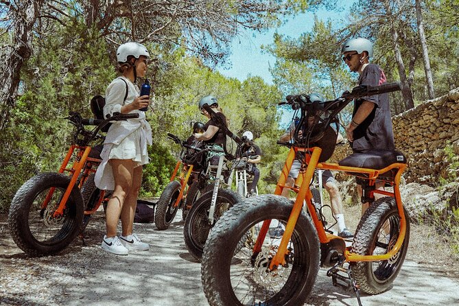 Guided Ebike Tour in Ibiza - Tour Overview